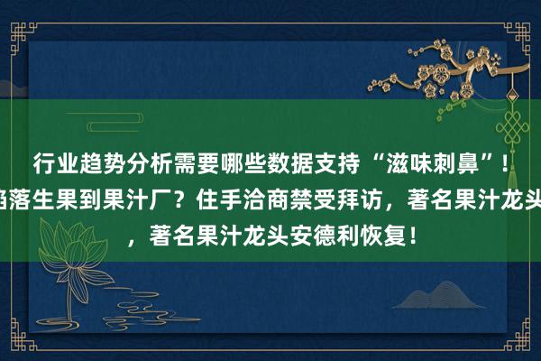 行业趋势分析需要哪些数据支持 “滋味刺鼻”！多辆货车拉陷落生果到果汁厂？住手洽商禁受拜访，著名果汁龙头安德利恢复！