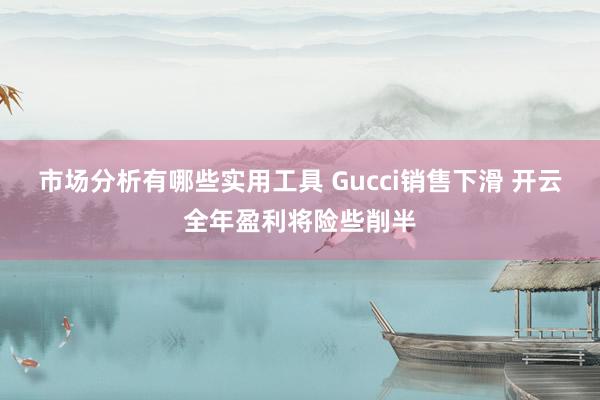 市场分析有哪些实用工具 Gucci销售下滑 开云全年盈利将险些削半