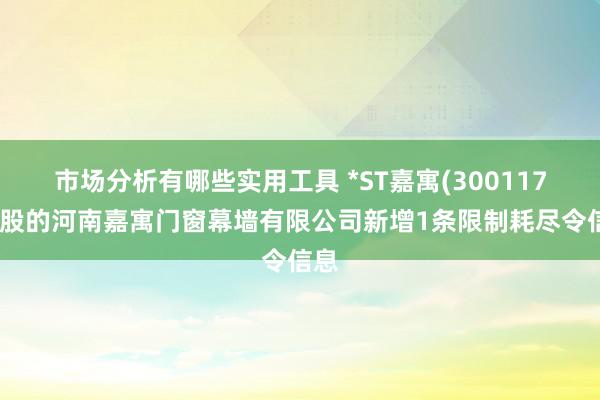 市场分析有哪些实用工具 *ST嘉寓(300117)控股的河南嘉寓门窗幕墙有限公司新增1条限制耗尽令信息