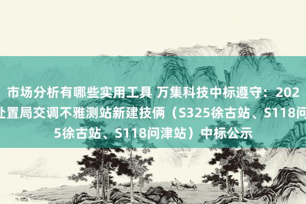 市场分析有哪些实用工具 万集科技中标遵守：2024年新洲区公路处置局交调不雅测站新建技俩（S325徐古站、S118问津站）中标公示