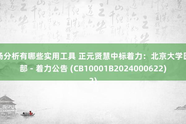 市场分析有哪些实用工具 正元贤慧中标着力：北京大学医学部 - 着力公告 (CB10001B2024000622)