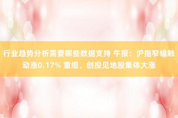 行业趋势分析需要哪些数据支持 午报：沪指窄幅触动涨0.17% 重组、创投见地股集体大涨