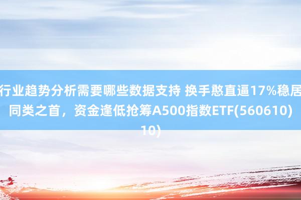 行业趋势分析需要哪些数据支持 换手憨直逼17%稳居同类之首，资金逢低抢筹A500指数ETF(560610)