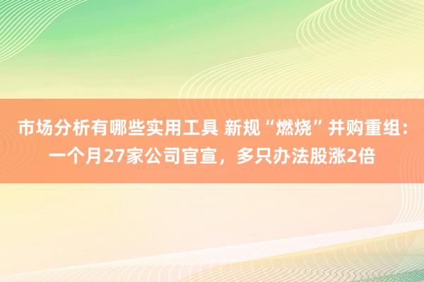 市场分析有哪些实用工具 新规“燃烧”并购重组：一个月27家公司官宣，多只办法股涨2倍