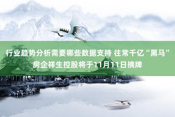 行业趋势分析需要哪些数据支持 往常千亿“黑马”房企祥生控股将于11月11日摘牌