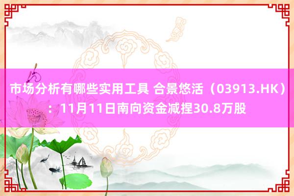 市场分析有哪些实用工具 合景悠活（03913.HK）：11月11日南向资金减捏30.8万股