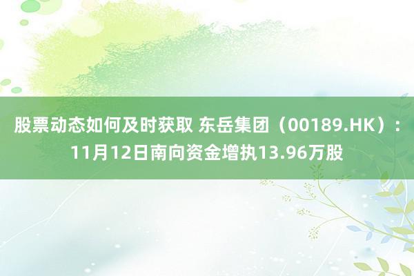 股票动态如何及时获取 东岳集团（00189.HK）：11月12日南向资金增执13.96万股