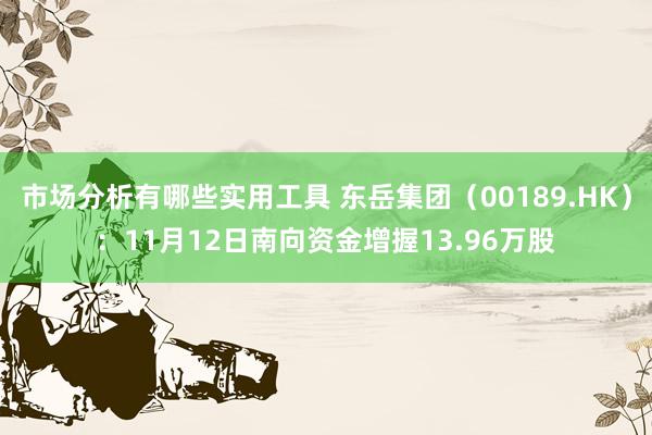 市场分析有哪些实用工具 东岳集团（00189.HK）：11月12日南向资金增握13.96万股