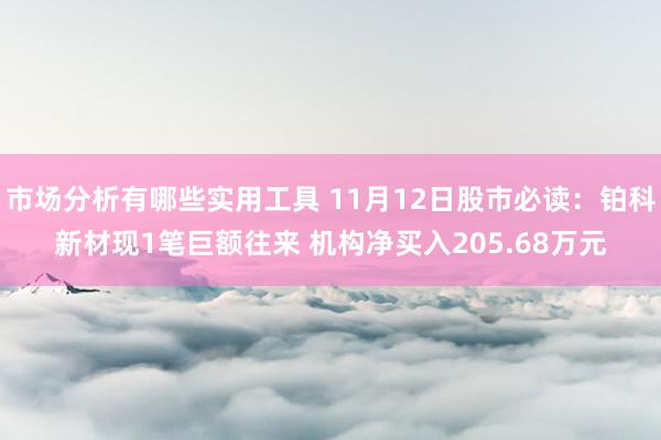 市场分析有哪些实用工具 11月12日股市必读：铂科新材现1笔巨额往来 机构净买入205.68万元