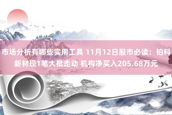 市场分析有哪些实用工具 11月12日股市必读：铂科新材现1笔大批走动 机构净买入205.68万元