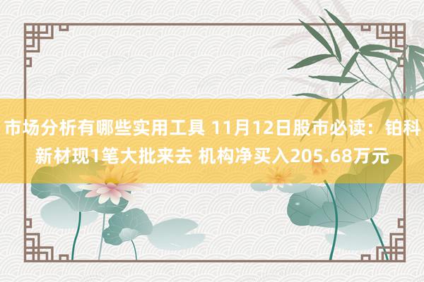 市场分析有哪些实用工具 11月12日股市必读：铂科新材现1笔大批来去 机构净买入205.68万元