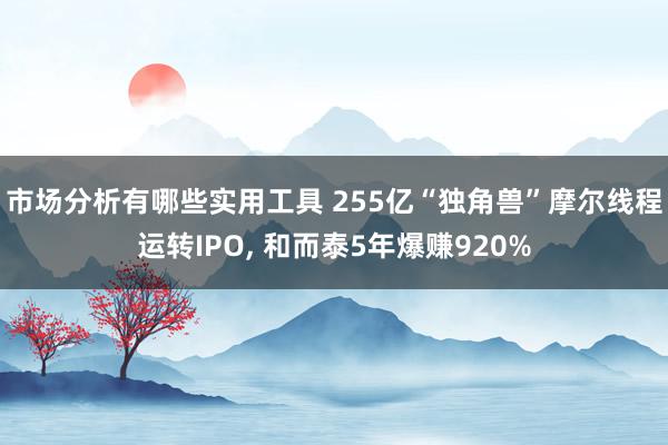 市场分析有哪些实用工具 255亿“独角兽”摩尔线程运转IPO, 和而泰5年爆赚920%