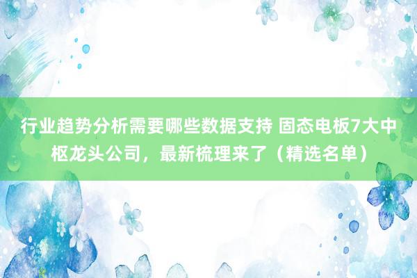 行业趋势分析需要哪些数据支持 固态电板7大中枢龙头公司，最新梳理来了（精选名单）