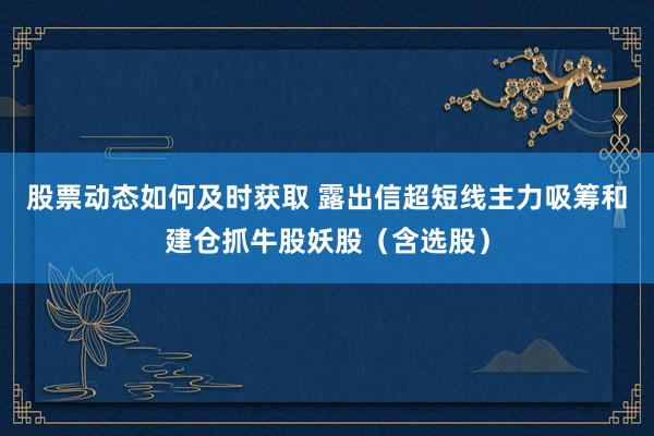 股票动态如何及时获取 露出信超短线主力吸筹和建仓抓牛股妖股（含选股）