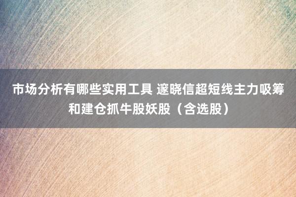 市场分析有哪些实用工具 邃晓信超短线主力吸筹和建仓抓牛股妖股（含选股）