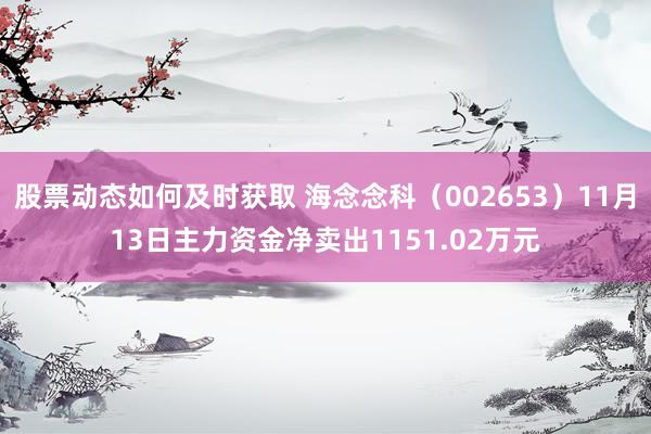 股票动态如何及时获取 海念念科（002653）11月13日主力资金净卖出1151.02万元