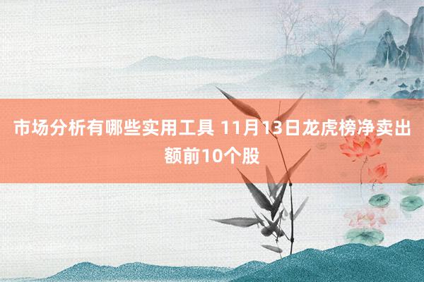 市场分析有哪些实用工具 11月13日龙虎榜净卖出额前10个股