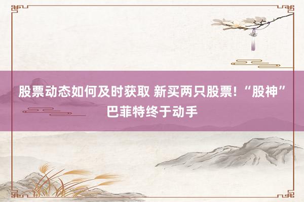 股票动态如何及时获取 新买两只股票! “股神”巴菲特终于动手