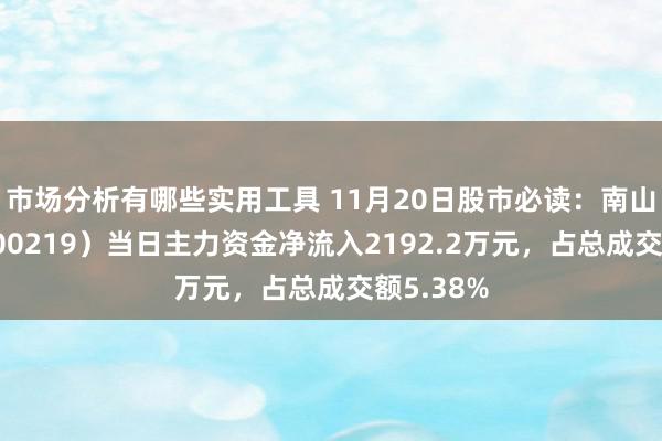 市场分析有哪些实用工具 11月20日股市必读：南山铝业（600219）当日主力资金净流入2192.2万元，占总成交额5.38%