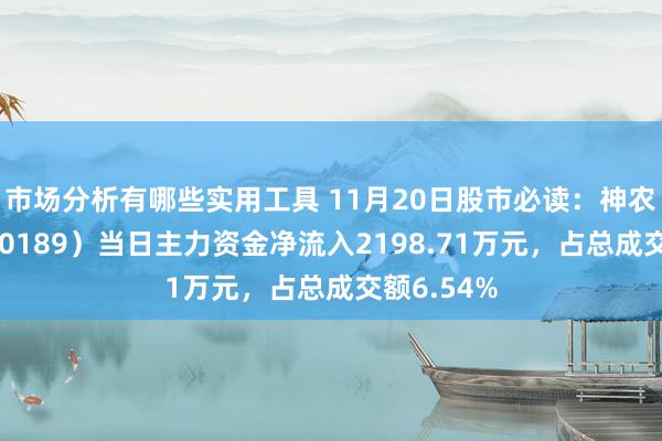 市场分析有哪些实用工具 11月20日股市必读：神农种业（300189）当日主力资金净流入2198.71万元，占总成交额6.54%