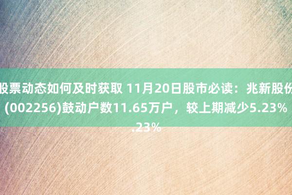 股票动态如何及时获取 11月20日股市必读：兆新股份(002256)鼓动户数11.65万户，较上期减少5.23%