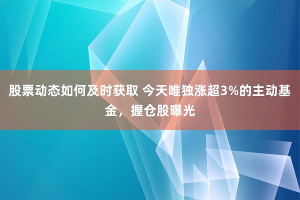 股票动态如何及时获取 今天唯独涨超3%的主动基金，握仓股曝光