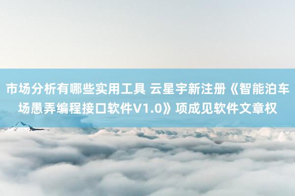 市场分析有哪些实用工具 云星宇新注册《智能泊车场愚弄编程接口软件V1.0》项成见软件文章权