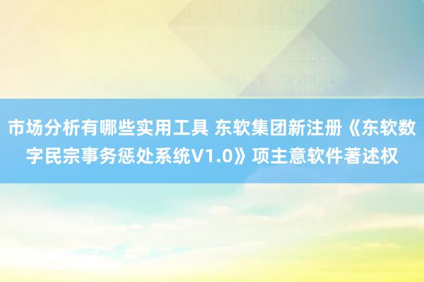 市场分析有哪些实用工具 东软集团新注册《东软数字民宗事务惩处系统V1.0》项主意软件著述权