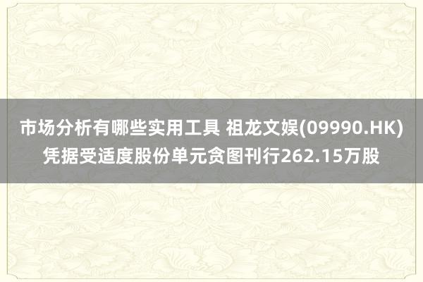 市场分析有哪些实用工具 祖龙文娱(09990.HK)凭据受适度股份单元贪图刊行262.15万股