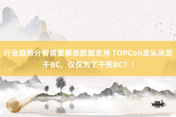 行业趋势分析需要哪些数据支持 TOPCon龙头决定干BC，仅仅为了干死BC？！