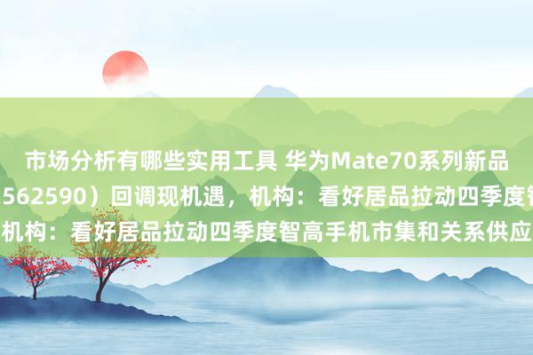 市场分析有哪些实用工具 华为Mate70系列新品发布，半导体材料ETF（562590）回调现机遇，机构：看好居品拉动四季度智高手机市集和关系供应链