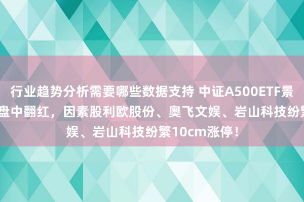 行业趋势分析需要哪些数据支持 中证A500ETF景顺(159353)盘中翻红，因素股利欧股份、奥飞文娱、岩山科技纷繁10cm涨停！