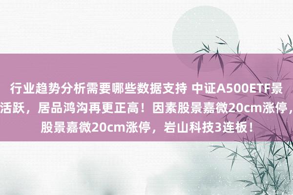 行业趋势分析需要哪些数据支持 中证A500ETF景顺(159353)交投活跃，居品鸿沟再更正高！因素股景嘉微20cm涨停，岩山科技3连板！