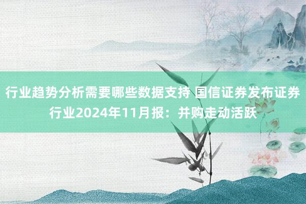 行业趋势分析需要哪些数据支持 国信证券发布证券行业2024年11月报：并购走动活跃