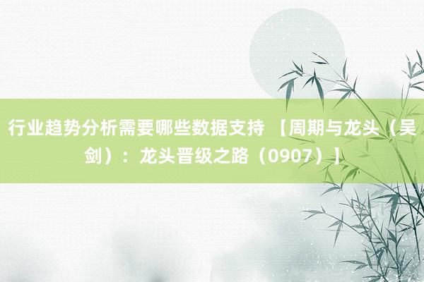 行业趋势分析需要哪些数据支持 【周期与龙头（吴剑）：龙头晋级之路（0907）】