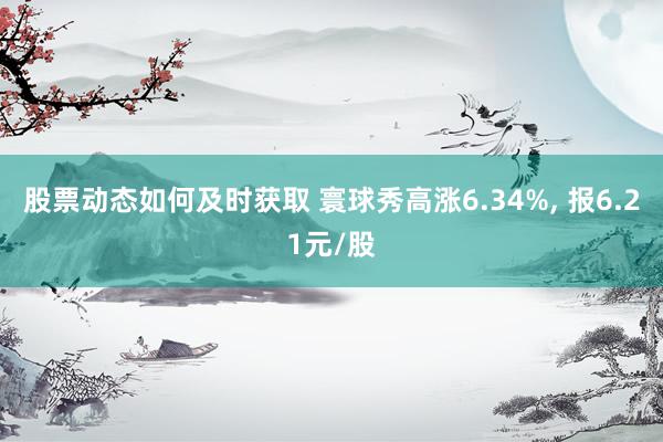 股票动态如何及时获取 寰球秀高涨6.34%, 报6.21元/股