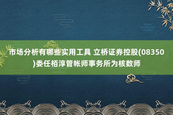 市场分析有哪些实用工具 立桥证券控股(08350)委任栢淳管帐师事务所为核数师