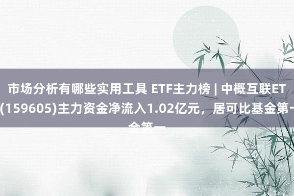 市场分析有哪些实用工具 ETF主力榜 | 中概互联ETF(159605)主力资金净流入1.02亿元，居可比基金第一