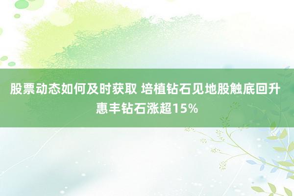 股票动态如何及时获取 培植钻石见地股触底回升 惠丰钻石涨超15%