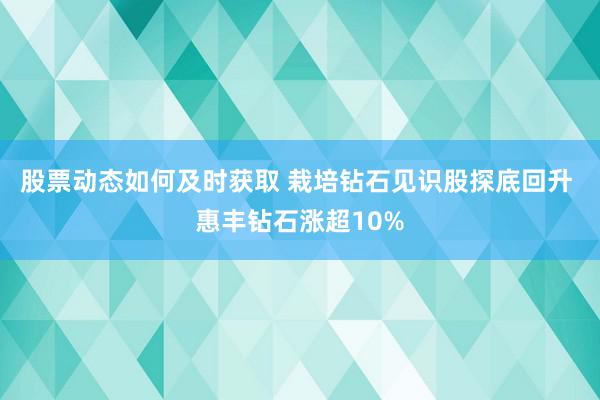 股票动态如何及时获取 栽培钻石见识股探底回升 惠丰钻石涨超10%