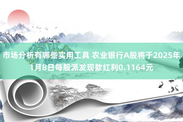 市场分析有哪些实用工具 农业银行A股将于2025年1月8日每股派发现款红利0.1164元