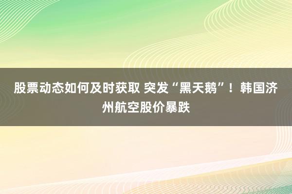 股票动态如何及时获取 突发“黑天鹅”！韩国济州航空股价暴跌