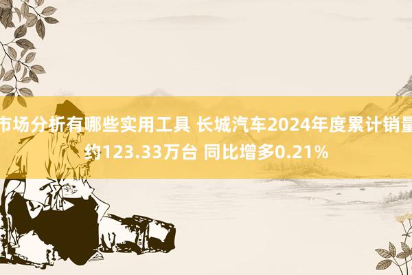 市场分析有哪些实用工具 长城汽车2024年度累计销量约123.33万台 同比增多0.21%