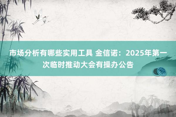 市场分析有哪些实用工具 金信诺：2025年第一次临时推动大会有操办公告