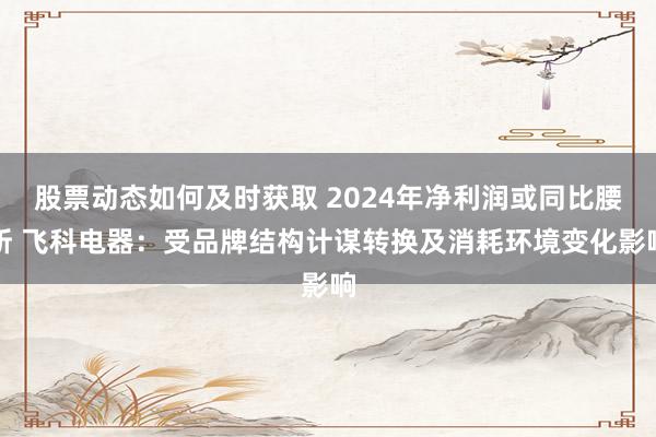 股票动态如何及时获取 2024年净利润或同比腰斩 飞科电器：受品牌结构计谋转换及消耗环境变化影响