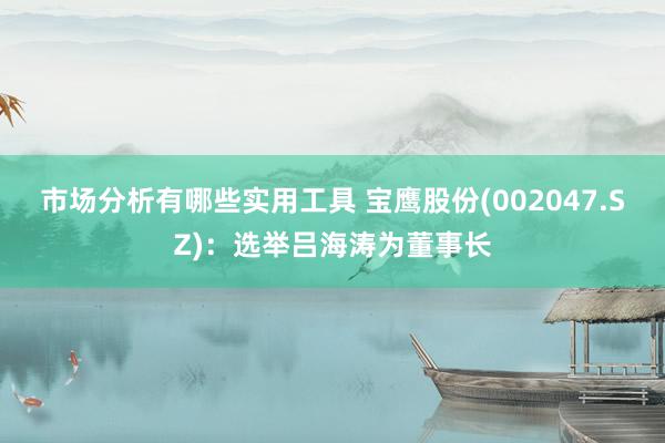 市场分析有哪些实用工具 宝鹰股份(002047.SZ)：选举吕海涛为董事长