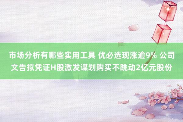 市场分析有哪些实用工具 优必选现涨逾9% 公司文告拟凭证H股激发谋划购买不跳动2亿元股份