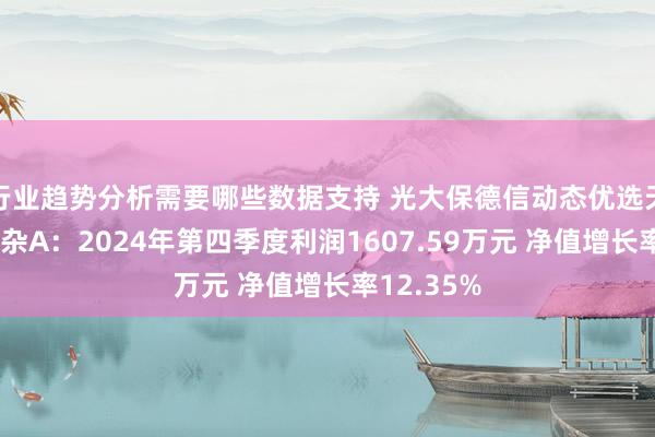 行业趋势分析需要哪些数据支持 光大保德信动态优选天真建立夹杂A：2024年第四季度利润1607.59万元 净值增长率12.35%