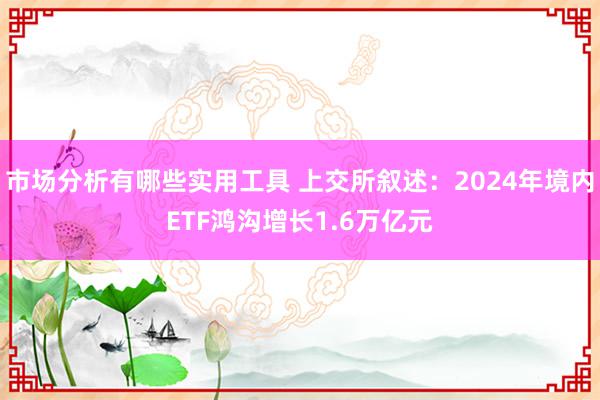 市场分析有哪些实用工具 上交所叙述：2024年境内ETF鸿沟增长1.6万亿元