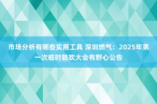 市场分析有哪些实用工具 深圳燃气：2025年第一次临时鼓吹大会有野心公告